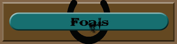 foals